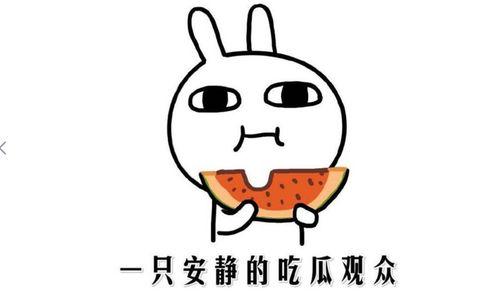 娱乐吃瓜名字怎么取,揭秘明星幕后故事