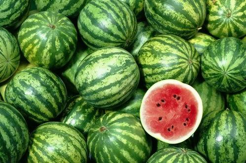 吃瓜娱乐间的作品有哪些